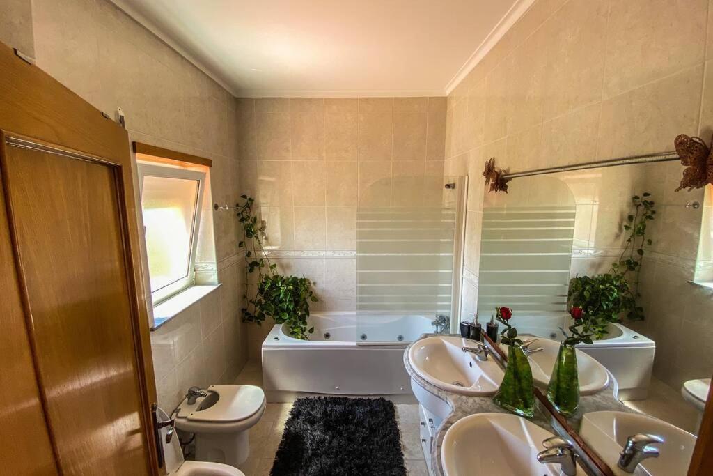 Apartament Casa Petroleiro Albergaria-a-Velha Zewnętrze zdjęcie