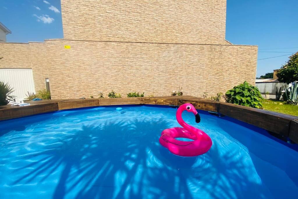 Apartament Casa Petroleiro Albergaria-a-Velha Zewnętrze zdjęcie