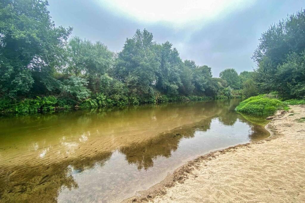 Apartament Casa Petroleiro Albergaria-a-Velha Zewnętrze zdjęcie