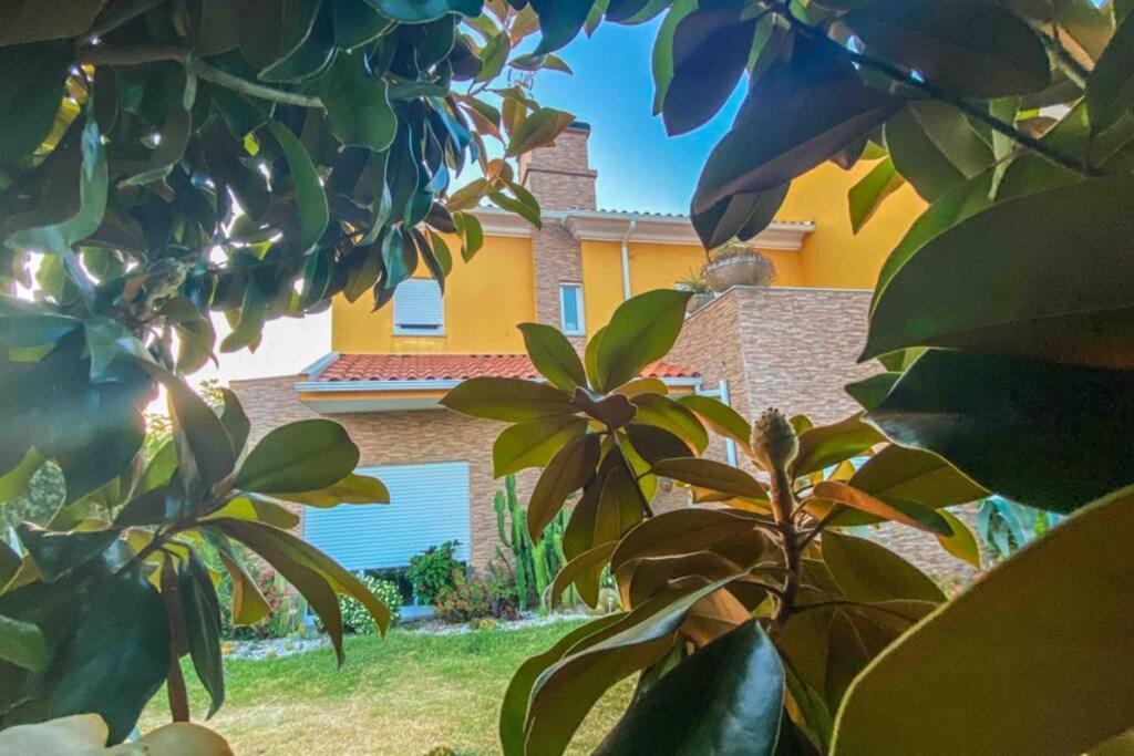 Apartament Casa Petroleiro Albergaria-a-Velha Zewnętrze zdjęcie
